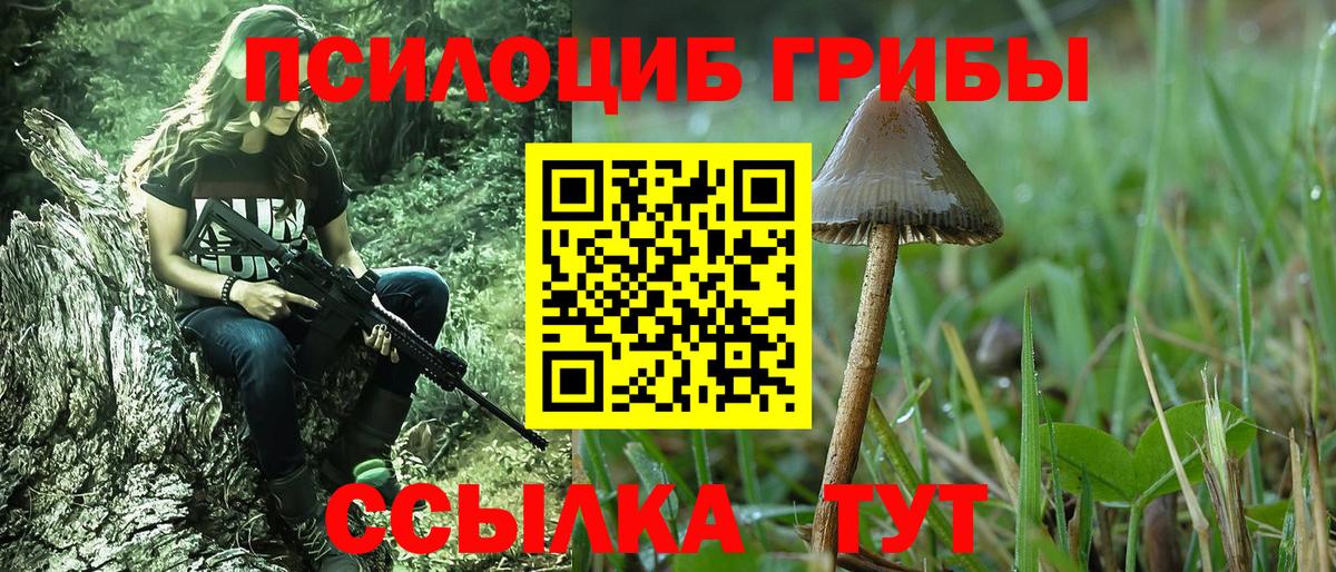 Псилоцибиновые грибы прущие грибы  Вход с VPN  Шебекино 